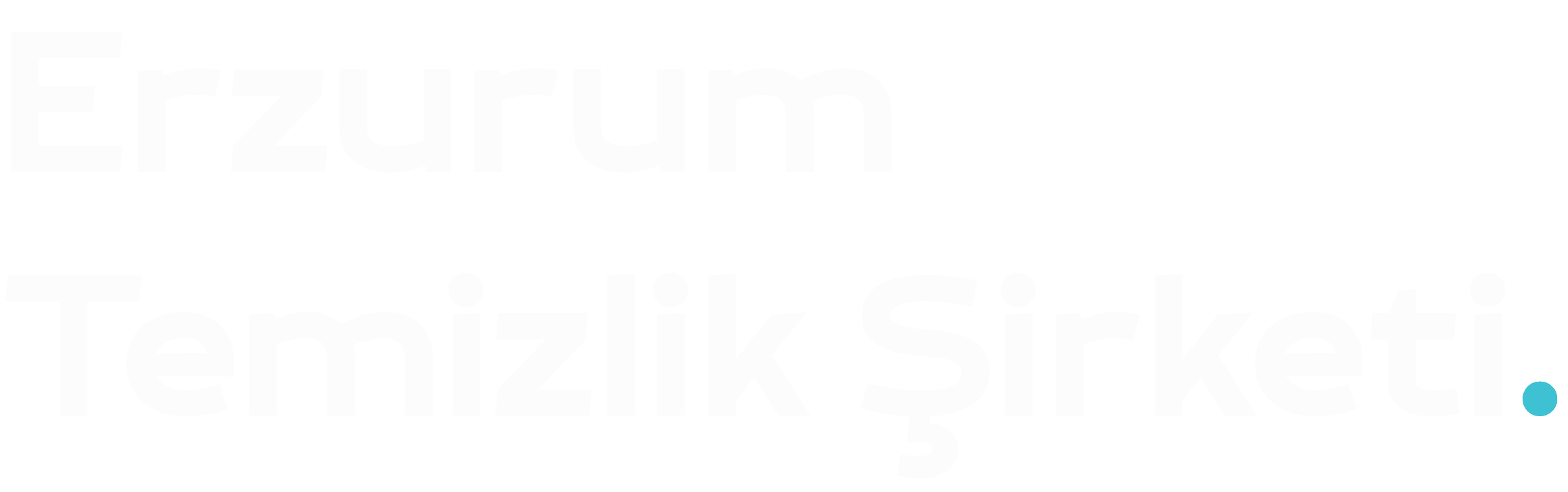 Erzurum Temizlik Şirketi | Profesyonel Temizlik