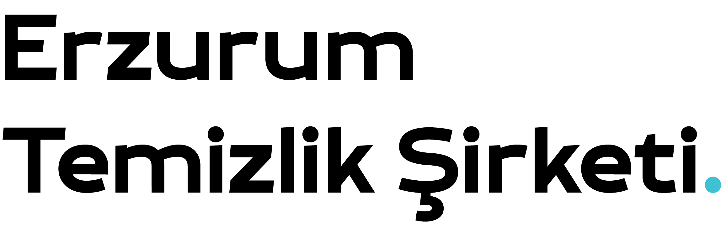Erzurum Temizlik Şirketi | Profesyonel Temizlik